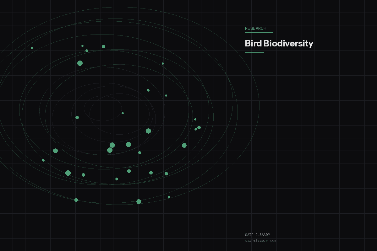 Bird Biodiversity